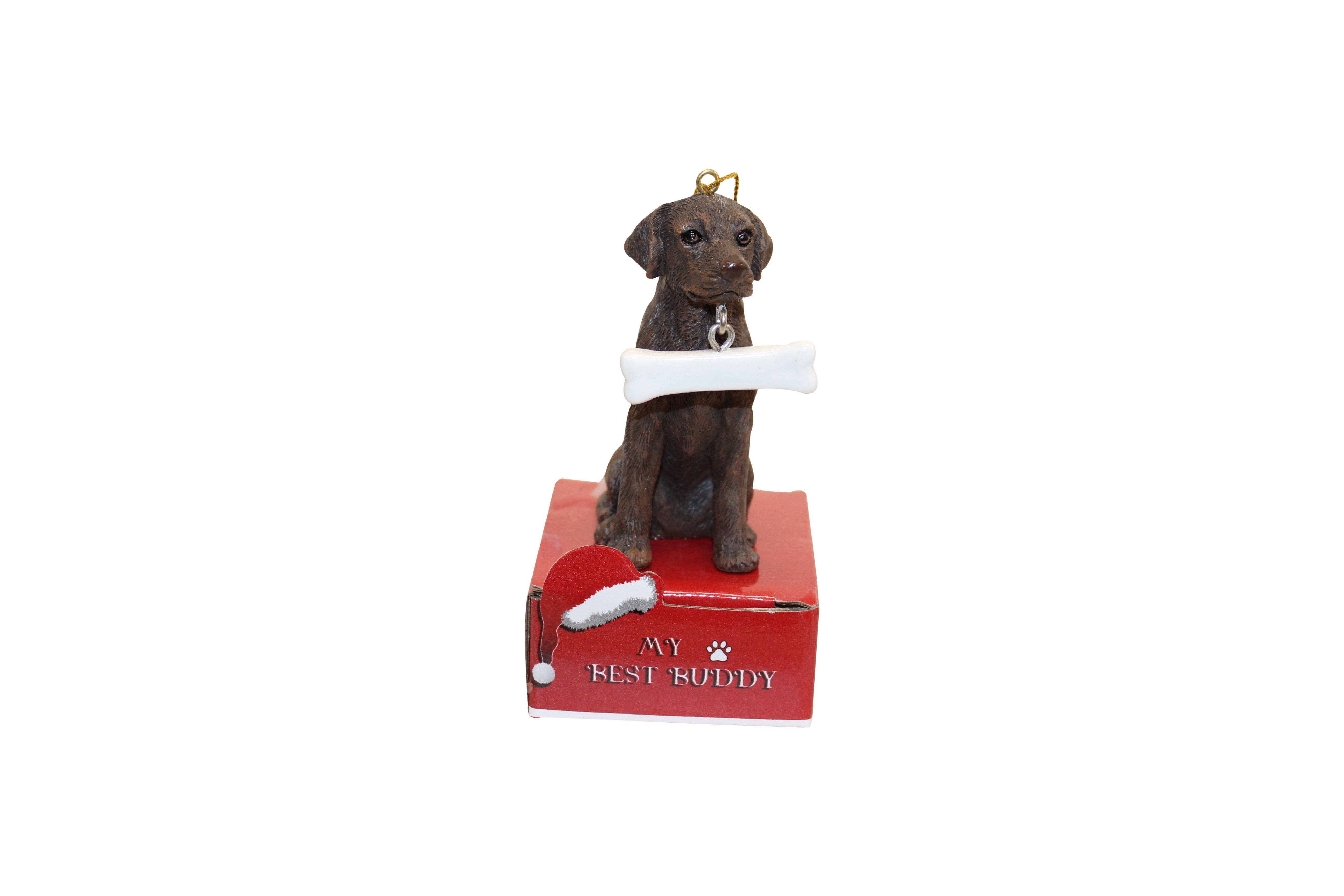 Chocolate Labrador coloridas Signo de Metal de 20 cm X 15 Cm 